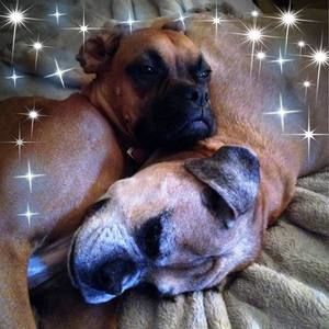 Meet your Posher, Sandy